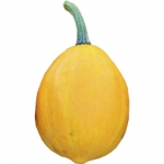 Lemon Squash